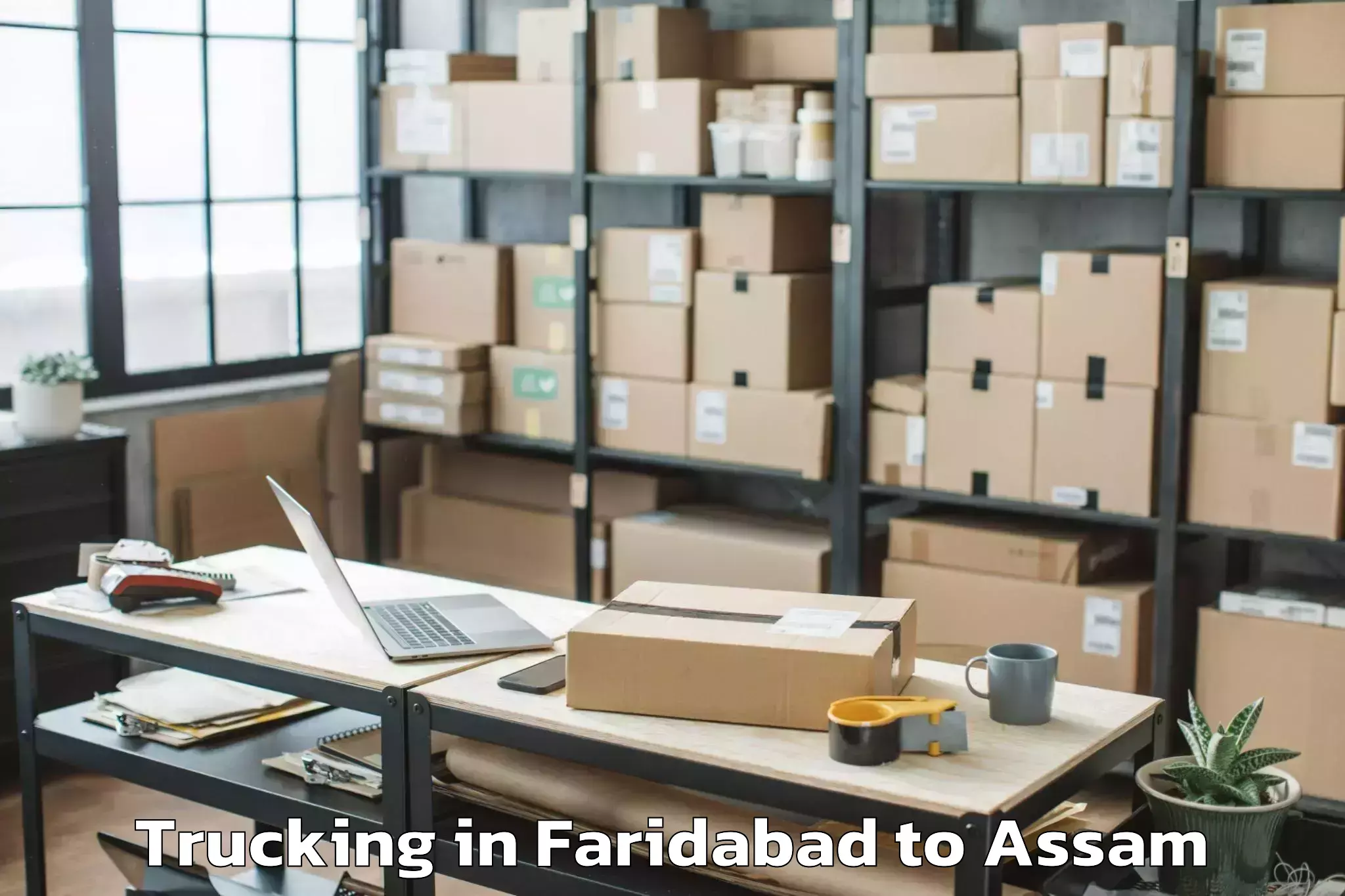 Comprehensive Faridabad to Laharighat Trucking